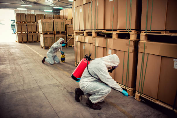 Best Cockroach Control Services  in Southern Shops, SC