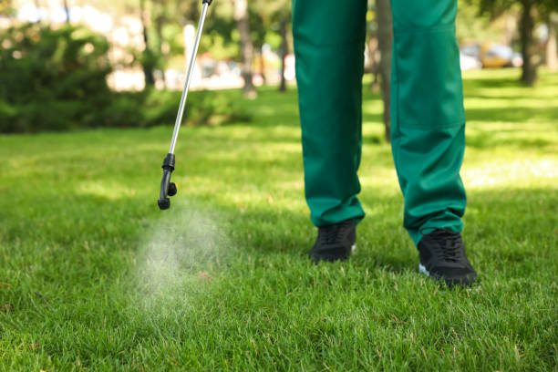 Best Mosquito Control Services  in Southern Shops, SC