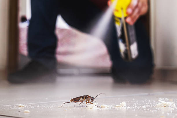 Best Wildlife Control Services  in Southern Shops, SC