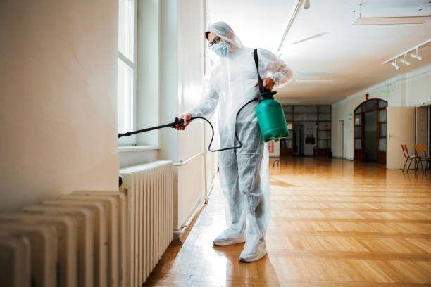 Best Pest Prevention Services  in Southern Shops, SC