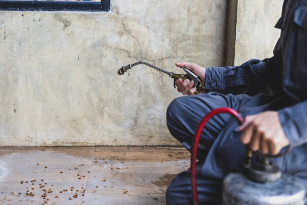 Best Pest Removal Services  in Southern Shops, SC