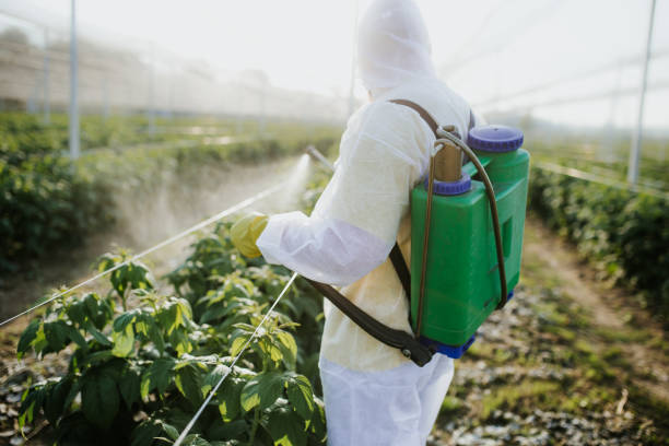 Professional Pest Control in Southern Shops, SC
